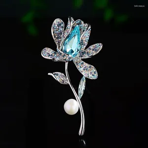 Brooches High-end Women's Shining Color Crystal Elegant Freshwater Pearl Luxury Design Corsage Coat Sweater Accessories Pins