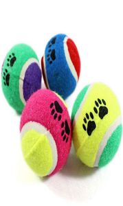 Ny Pet Toy Ball Dog Toy Tennis Balls Run Fetch Kast Play Toy Chew Cat Pet Dog levererar hela för hunddiameter 65CM9642116