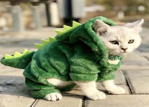 Abiti per gatti per animali domestici divertenti costumi di dinosauro cappotto inverno in pile calda in pile per gatto per piccoli gatti con cappuccio da cucciolo cucciolo di vestiti da cane xsxxl3804759