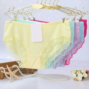 Panties 10pcs New laciness Girl shorts briefs Modal cotton buds lace underpants Slim panties girls teenagers underwear wholesale Y240528