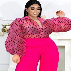 Women's Plus Size TShirt Tops Rose Turn Down Collar Long Puff Sleeve See Through Organza Polka Dot Blouse Office Lady Evening Part 2652