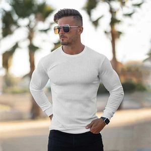 Herrenpullover neue Herbstmode dünne Pullover Männer lässige Langarmpullover Mann O-Neck Solid Slim Fit Sweaters Stricktiples Homme Q240527