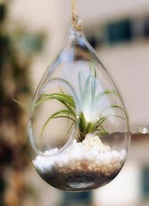 Neue Ankunft Wasserriss Tropfen Glas Hänge Pflanzer Behälter Vase Pot Terrarium Dekoration1298749
