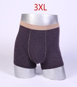 Bamboo Mens Boxers Hight Quality Men039S underware shorts bamboo Fiber Man introdpants 3xl4xl5xl6xl7xl5477686