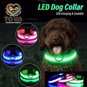 Toua Choice XSM Dog Collar USB充電式ライトアップLEDライト調整可能なソフトセーフティナイトフラッシングペット用品240527