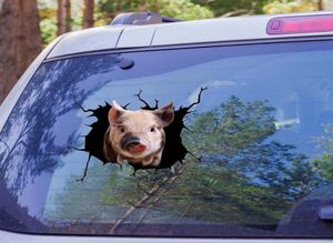 Adesivos de parede Creative Pig Crack Car Stick Horse Dog Animal