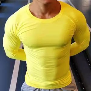 Gym Long Sleeve Shirt Men Fitness Training quickdrying Tshirt Running Sport Bodybuilding Skinny Tee Tops Muscle Workout Cloth 240529