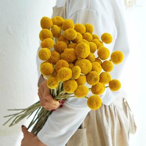 Dekorative Blumen natürliche getrocknete Blumen erhaltene Goldene Kugeln winzige goldene Ball Bouquet Handwerk Hochzeitsfestival Dekoration Boho Wohnkultur