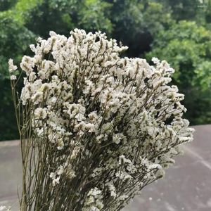 Декоративные цветы 50G Натуральная консервированная хрустальная трава сушено для свадебной вечеринки домашний декор.