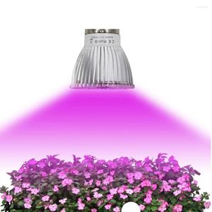 Grow Lights 7W светодиоды Phyto светодиодный гидропонный рост Light E27 E14 GU10 лампочка полная спектр ультрафиолетовой фабрики саженцы FitoLamp Fitolamp