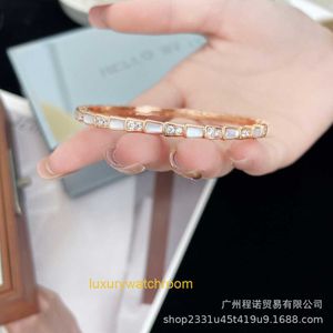 Boagery Armband Designer Jewelry White Fritillaria Diamond Snake Bone Armband V Gold 18K Rose Gold Inlaid Diamond SMRITT SNAKE SHAPED JAGE