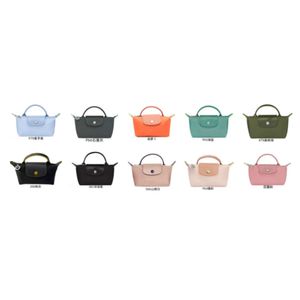 Designer Handbag High Version French Bag Mini Min Zero Wallet Crossbody Bag Single Shoulder Bag Nylon Dumpling Bag Handbag