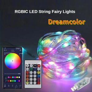 5 м/10 м/15 млн. WS2812B Fairy Light Bluetooth Светодиодная струна RGB Dream Colorbulable Party Hribeld Light