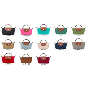 2024 Designer Handbag High Version French Bag Mini Min Zero Wallet Crossbody Bag Single Shoulder Bag Nylon Dumpling Bag Handbag