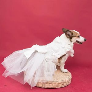 Vestidos de noiva de cachorro Médio CORGI SHIBA INU GOLDEN RETRIEVER SAMOYED LABRADOR PONTRATO DOM PRINCESS DOG PRINCESS 240530