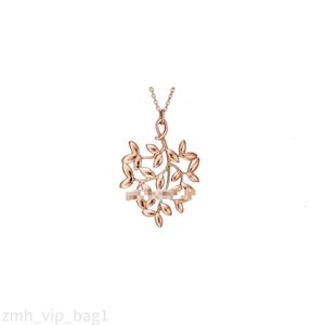 Designer smycken lyx tiffanynecklace designer halsband bröllop tiffanyjewelry hänge halsband gåva party hjärtformade diamantsmycken 617