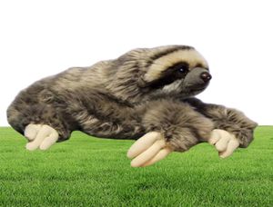 35 см премиум -класса Three Tabl Sloth Real Life Fucked Animal Folivora Gifts Pireeons Plush Doll Toy5437883