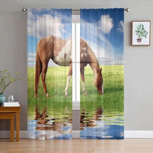 Curtain Brown Horse Grassland River Sheer Curtains For Living Room Decoration Window Kitchen Tulle Voile Organza