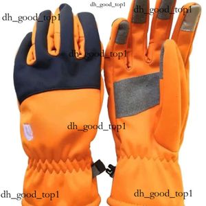 Designer North Glove The Jacket Luve Mulheres Mulheres O Nort Face Inverno Cold Motorcycle Pulseiro Biker Sports Five Baseball As luvas da luva NorthfacePuffer 432