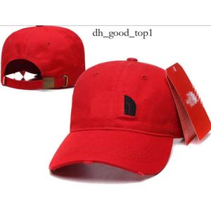 Northfacepuffer Luxury Designer Brand Четыре сезона универсальная бейсбольная шляпа Мужчина и женский язык All Duck Longu