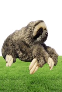 35 cm premium tre toed sloth verkliga fyllda djur folivora gåvor duvor plysch docka leksak7689230