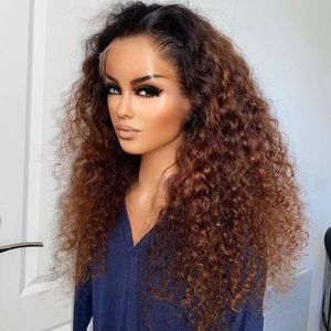 250% Density Ombre Brown Color Kinky Curly 13x4 Transparent Lace Frontal Human Hair Wigs Glueless Indian Remy Synthetic Closure Wig for Ctlm