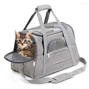 Кошачьи перевозчики Pet Petable Bag Outdoor дышащий туристический автомобиль маленькая собака