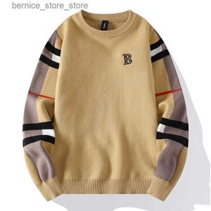 Men's Sweaters 2024 New Autumn/Winter Fashion Luxury Mens Classic Casual Stripe Checkered Pullover Mens Business Brand Soft and Warm Sweater Q240530