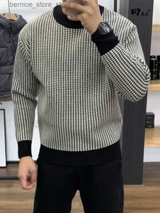 Men's Sweaters Man Clothes Round Collar Plaid Knitted Sweaters for Men Pullovers Crewneck Black Spring Autumn Elegant Designer Luxury Sheap A S Q240530