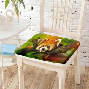 Kissen Wildlife Red Panda Print Stuhl Baumwolle Massive Quadratmatte Weichstühle Pad für Bistro Cafe El Room Studio Home Dekoration