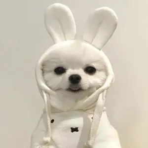 Hundkläder öron hoodie kläder valp kawaii vita små hundar kläder katt höst vinter varm mode bichon kostym grossist