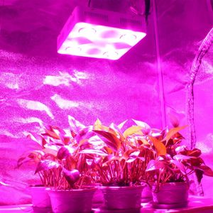 CF Grow 600W COB LED LOGE LIGHT LIGHT PULL SPECTRUM Гидропоновое тепличное растение.