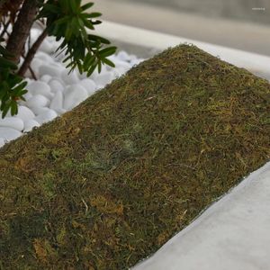 Decorative Flowers Artificial Lawn Home Accents Decor Moss Artifical Fake Grass Micro Landscape Supplies Mini Garden