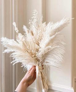 Naturligt torkat pampas gräsblommor brudbukett brudtärna bukettdekorativ archartificial blomma archwedding arrangemang 240328