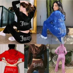 2024 Fashion Woman Spun Gold Veet Tracksuit Suicy Long Sleeve Autumn Sporting Wear Slim Casual Women Tracksuits Hooded Collar Jogging Sportwear Suit Size S-3XL KG6