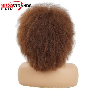 Wigs Afro Fluffy Kinky Curly Wigs For Women Silky Strands Yaki Cosplay Wig African Short High Temperature Fiber Synthetic Wig Cosplay