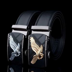 Belts Home>Product Center>Mens Belts>Eagle Metal Automatic Buckle Split Leather Waist Belt Q240401