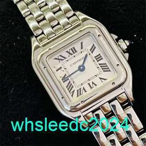 Zegarki klasowe obserwuj stalę małą/średnią małą serię gepardów Watch Watch Watch Steel Belt Kwarc Watch Watch Wspn0006 -Small -22*30 mm HBMI