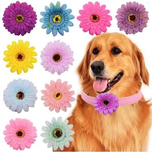 Köpek giyim 40 Paket Sevimli Pet Coreopsis Bow Tie Kedi Yastıklar Festival için Tımarlama Köpek Yavru Boyun Pografi Aksesuarları