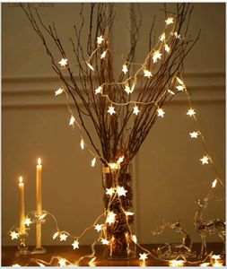LED STRINGSクリスマスライトは屋内スターの妖精の弦ライトウェディングパーティー屋外バッテリー10フィートYQ240401を操作します