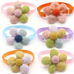 Odzież dla psów 30/50 PCS PET AKCESORIA Kwiat Psy Psy Bowtie Spring Style pielęgnowanie kota