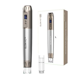 Hydra Derma Pen H6 Removedor de rugas profissional sem fio Caneta de microagulhamento Cartuchos de agulhas Derma Pen