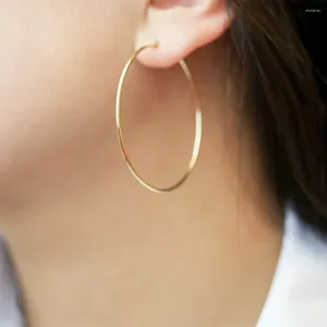 Hoop Earrings 50mm Large Circle Stainless Steel For Women Big Ear Rings Jewelry Wholesale Drop