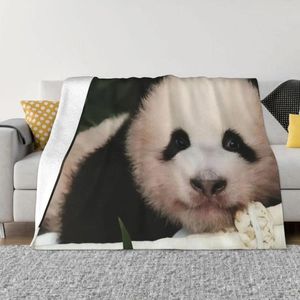 Battaniyeler fu bao fubao panda hayvan battaniye ekose pazen polar lüks yatak için atış ev dekor