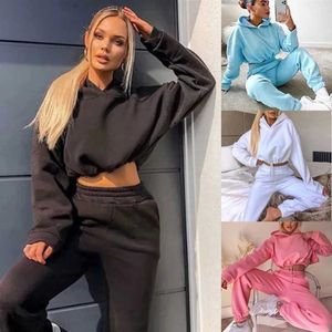 Hoodies للنساء من النوع الثقيل 2023 خريف الشتاء نساء من النوع الثقيل مجموعة الصلبة لونًا عارضًا بسيطًا مقنعًا 2 قطعة مجموعة أزياء صالة صالة الألعاب الرياضية بانتس بانت 240401