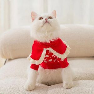 Hundkläder 2024 Söt Autumn Kitten Tröja för att förhindra håravfall Puppet British Short Blue Cat Pet och vinterkläder