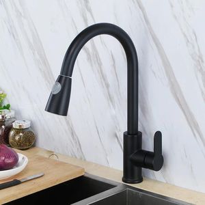 Kitchen Faucets Stainless Steel High Arch Single Lever Pull Down Out Spray Black Sink Faucet With Sprayer