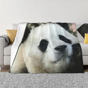 Battaniyeler Fu Bao Fubao Panda Hayvan Battaniyesi Yumuşak Peluş Hipoalerjenik Atma Odası Ev Dekor