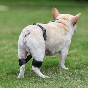 Hundkläder valp knäplatta justerbar stag för små medelstora stora hundar husdjur benstödskyddsskada hunds