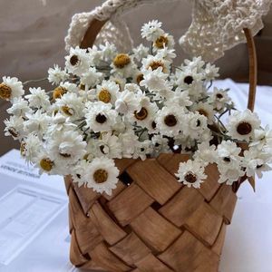 Dekorativa blommor DIY Bröllopsblommor Arrangemang 60st huvuden Verklig naturlig torr vit Cineraria Bouquet Home Room Table Decoration